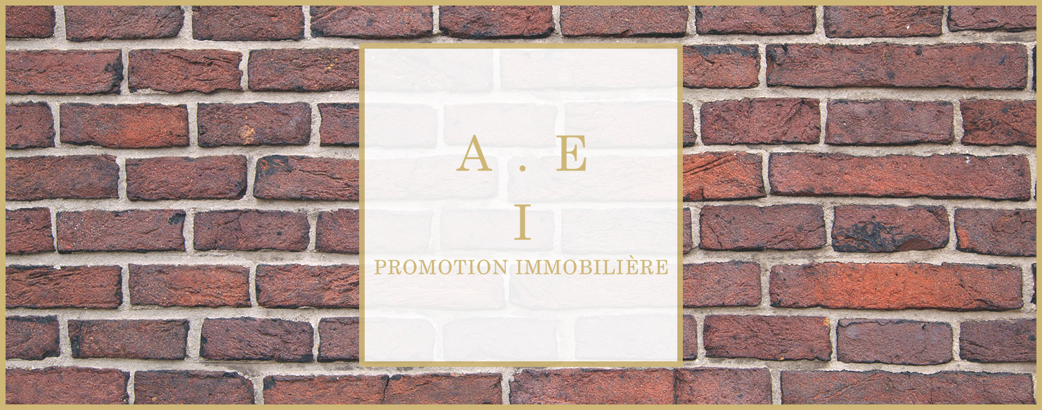 AEI Promotion Immobilier